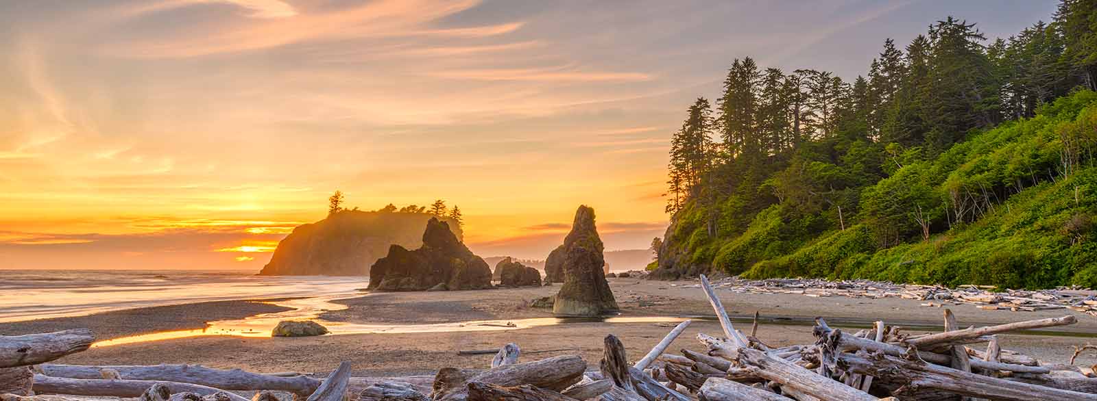 Driftwood, trees and islands along a Washington coast beach at sunset