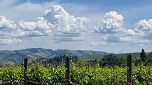 Photo of the blue mountains by Karen Shields