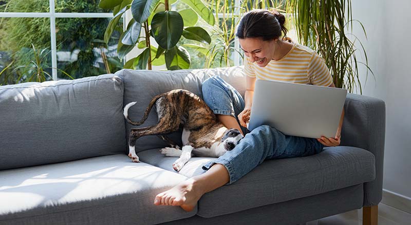 Person looking at dog while on couch with laptop