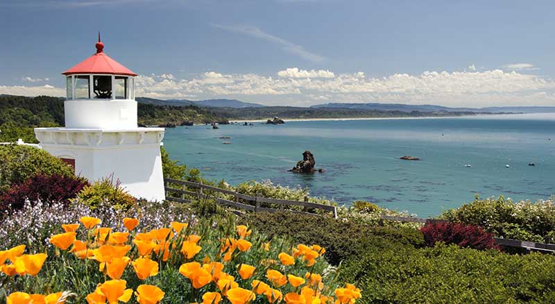 Lighthouse and flowers in Northern California