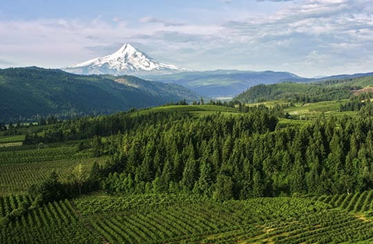 Farm with view of Mount Hood, Oregon