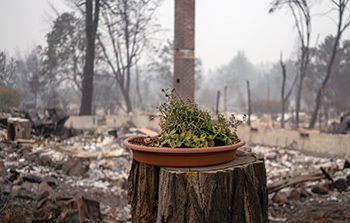 The 2020 Almeda Fire in Talent, Oregon