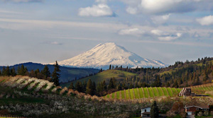 Rolling hills of farmland with Mt. Adams in the background
