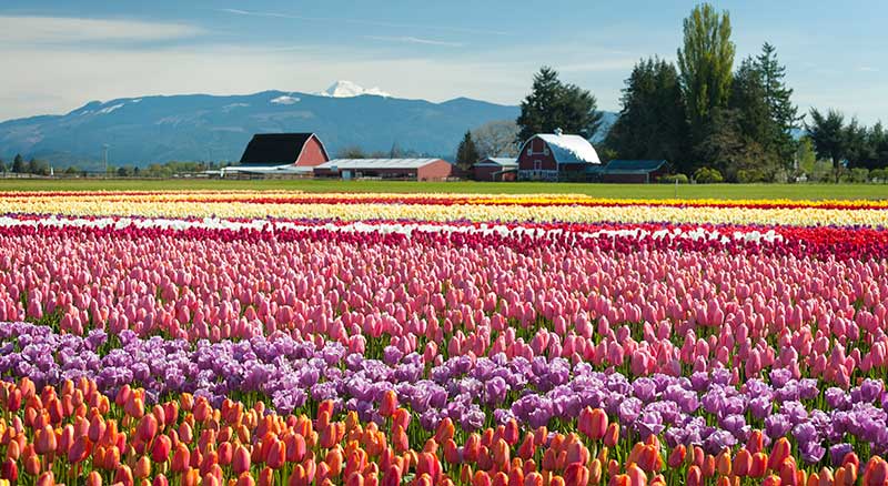 Banner Bank new territory in Skagit County Washington