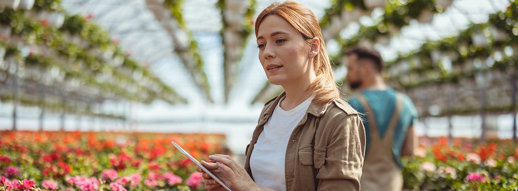 Person using tablet in a flower nursery