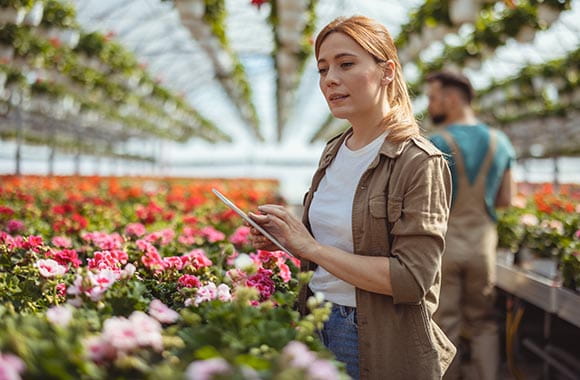 Person using tablet in a flower nursery