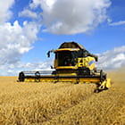 Yellow tractor, combine, harvesting wheat