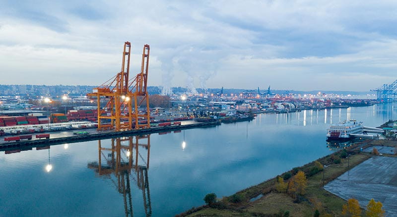 International services for your business needs