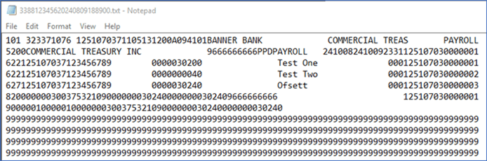 .txt ACH File Example