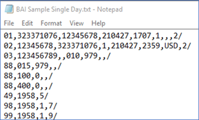 BAI reporting file example