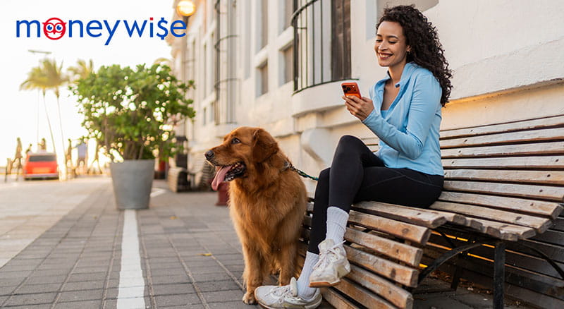 Person on a bench looking at phone with a dog and moneywise logo