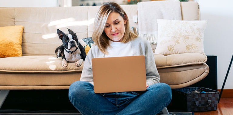 Person using computer with dog on couch at home