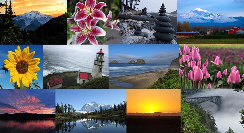 collage of pictures taken by employees