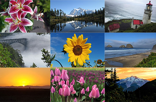 collage of 9 images taken by employees