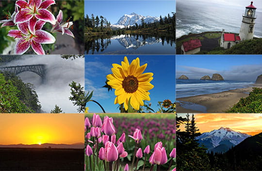 collage of 9 images taken by employees