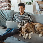Person looking at website with dog on couch