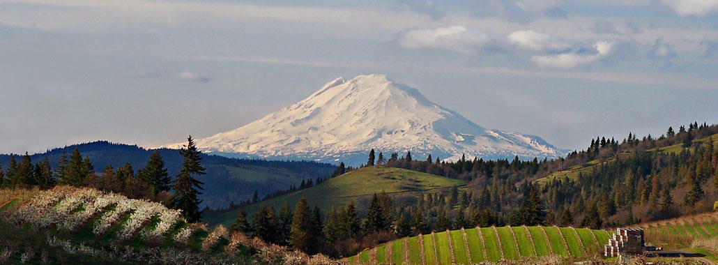 Mt. Adams in springtime