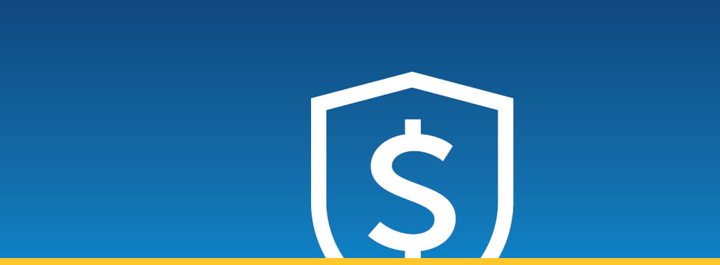 Shield icon with dollar sign