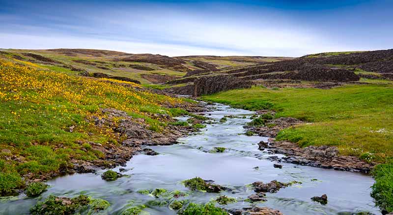 River and greenery near Chico California