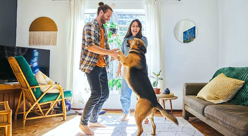 Person dancing with dog at home