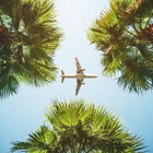 Airplane flying over palm trees