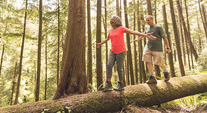 Two people walking across a log in a forest of trees