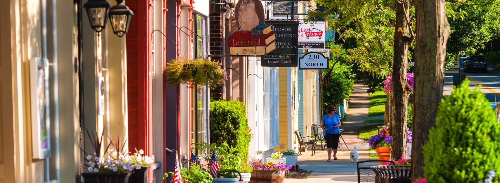 Woman walks her dog down street of rural town with local shops