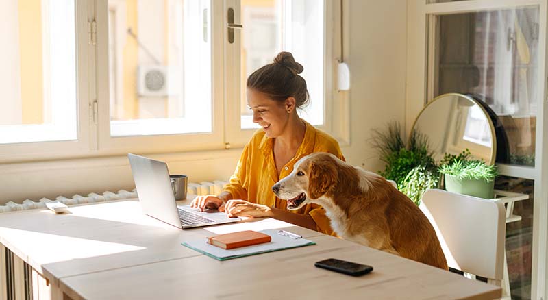 Person at a desk smiling at a laptop next to a dog