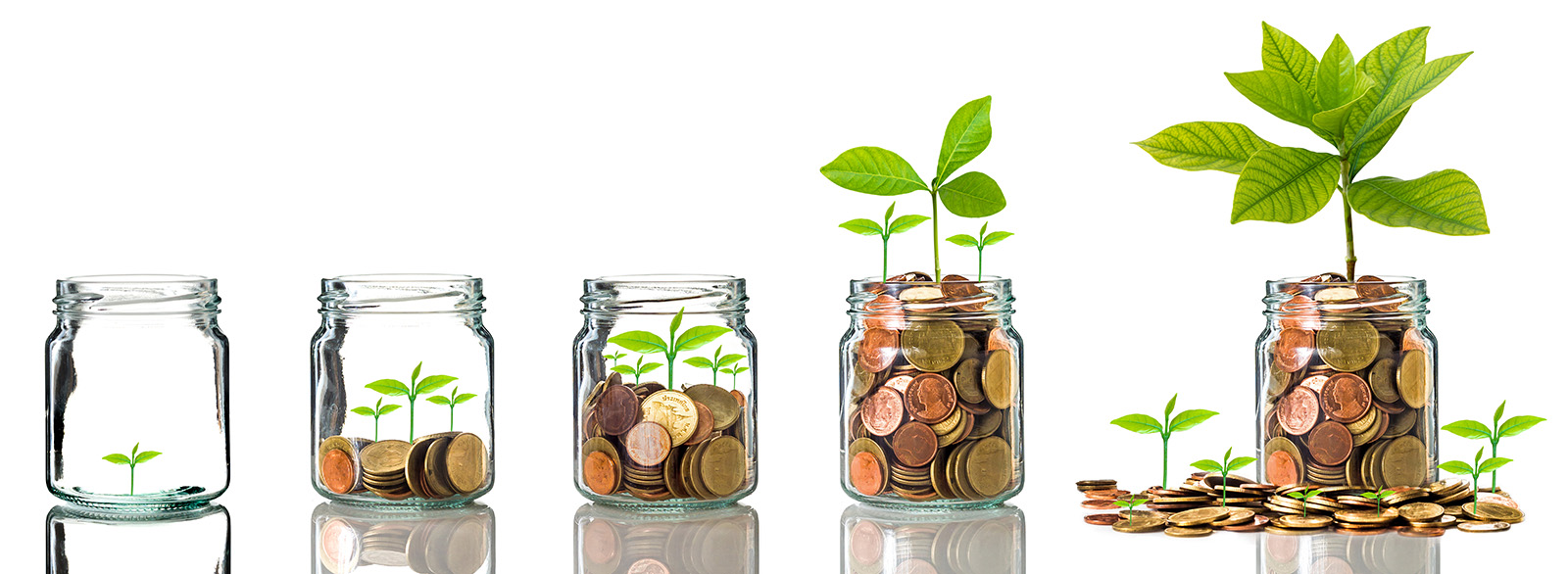 Five glass jars in a row filled with change and a plant on top of each pile of coins the coins and the plants are progressively bigger
