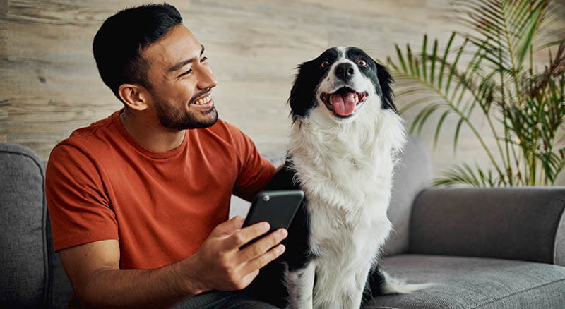 Person looking at a dog and a phone